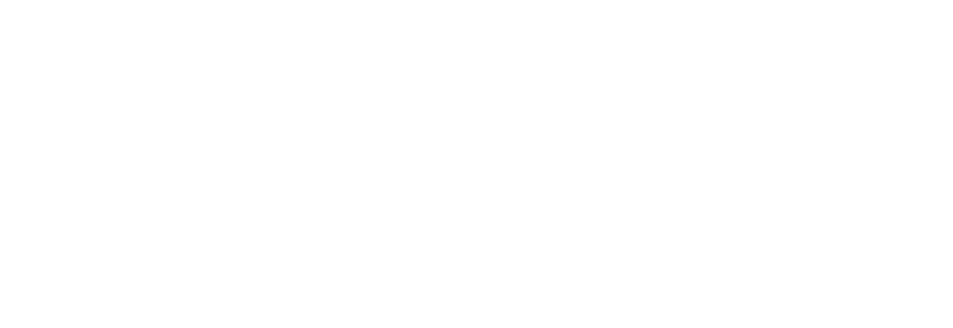 logo-novo-white-light